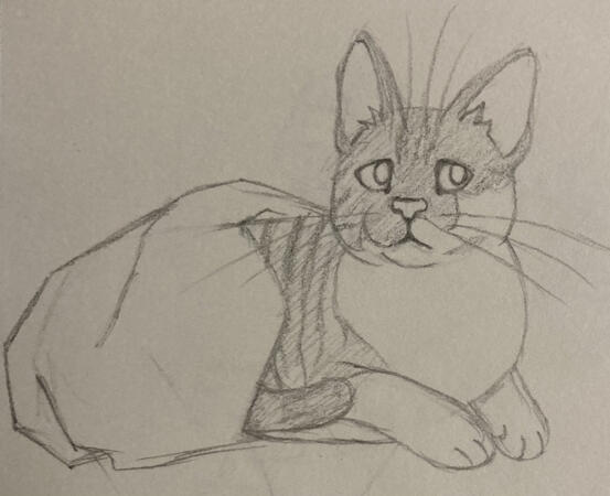 Traditional art. This was a drawing of my friend's pet cat for Three King's Day one year. Since only half of the body is showing and the blanket is low-detail, I count it as a halfbody- something like this'd be $25.