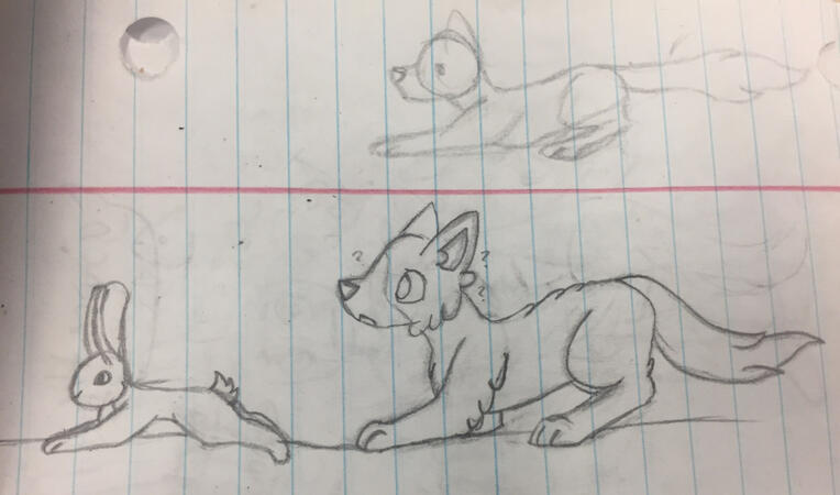 A drawing on lined paper of a fluffy cat hunting a rabbit. The rabbit is lying on its stomach, staring offpage, unaware of the cat. This confuses the cat. There is a fainter sketch above the cat of the same pose.